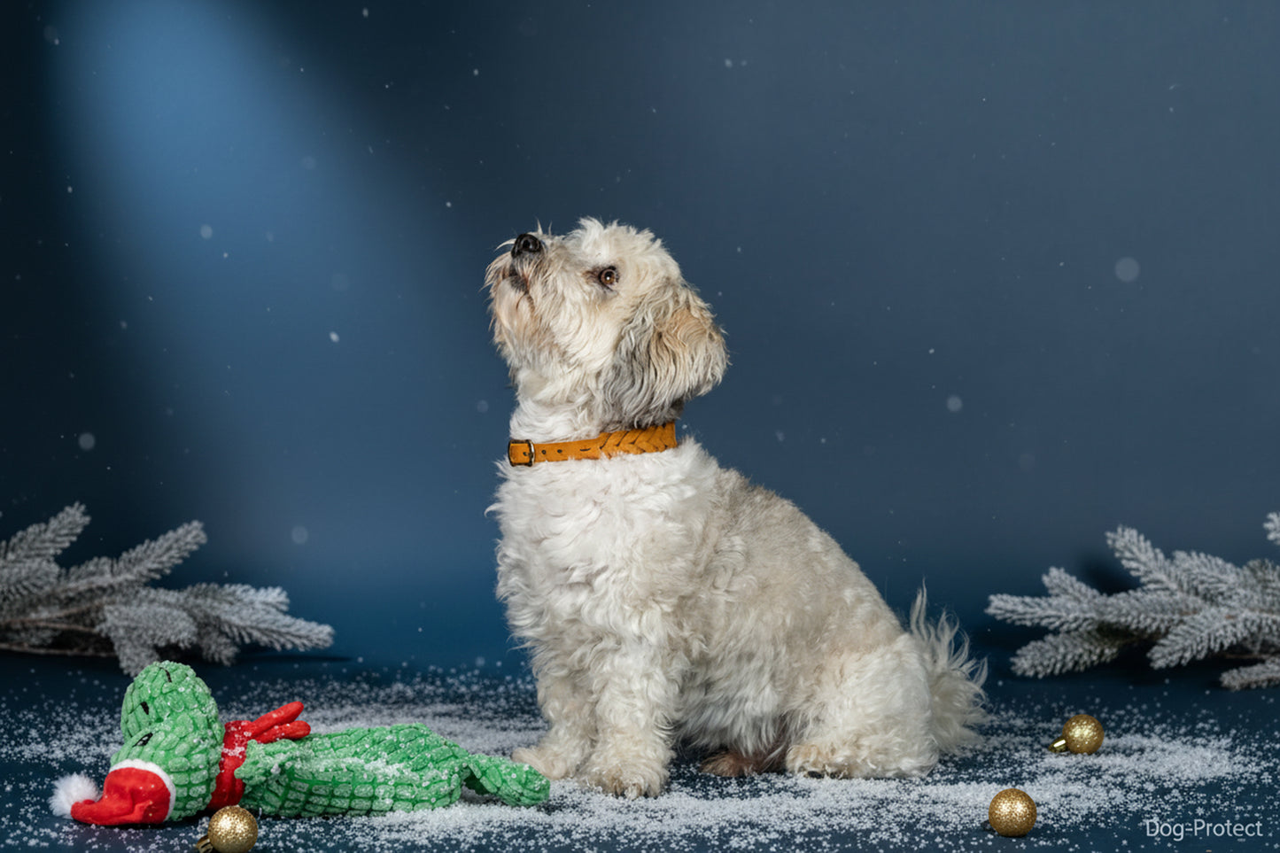 Fettlederhalsband geflochten Cognac