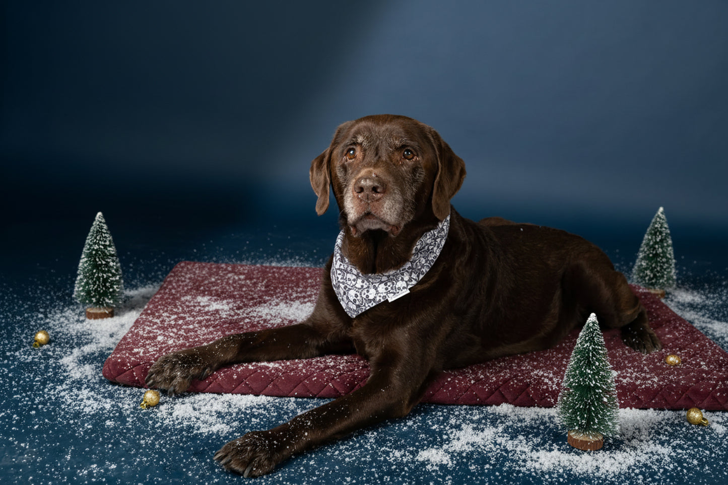 Halstuch Totenköpfe Grau/Weiß