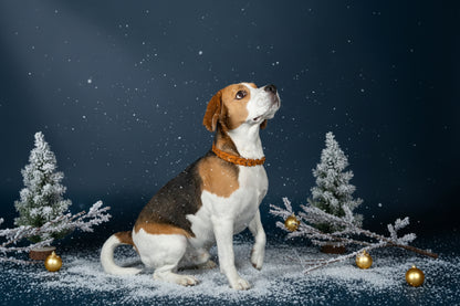 Fettlederhalsband geflochten Cognac