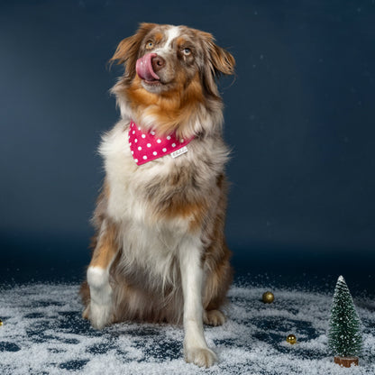 Halstuch wendbar Pink/Anker/Punkte