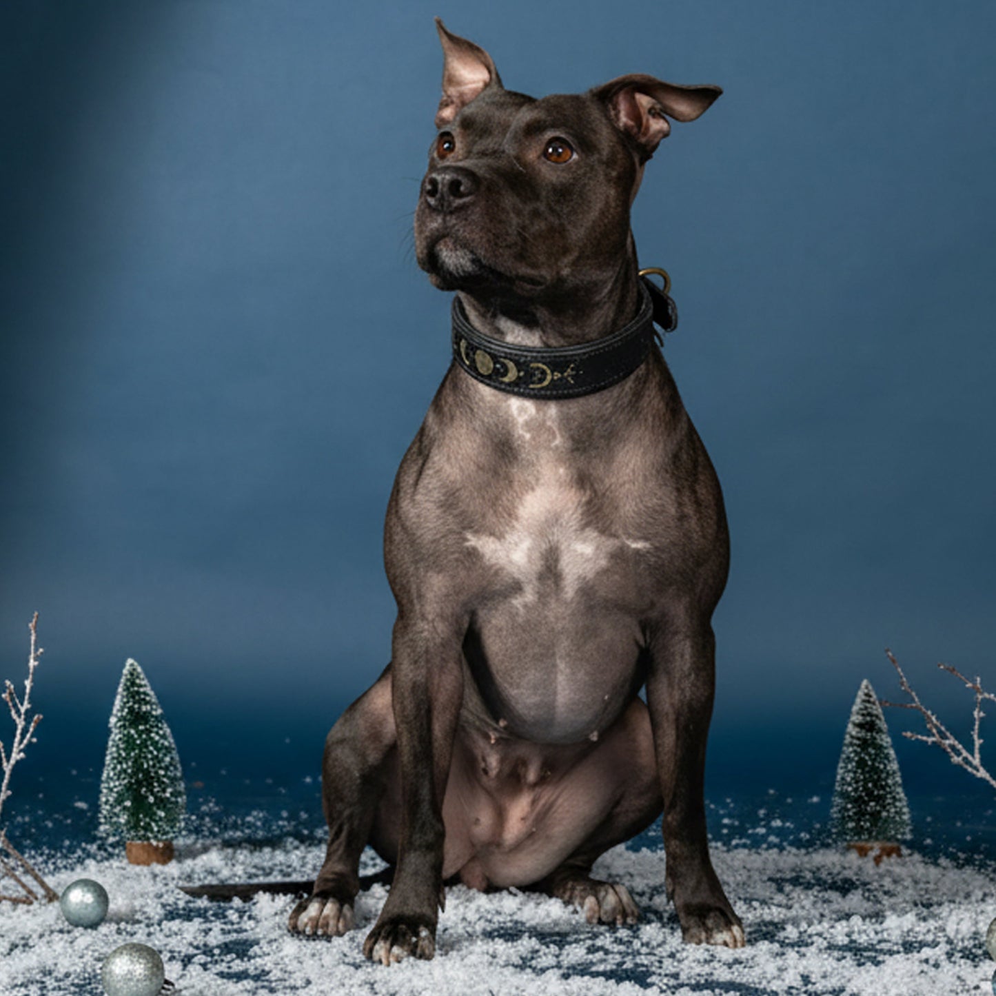 Leder-Halsband "Mondphasen"